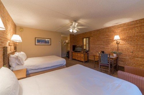 Mountain Chalet Snowmass - image 35