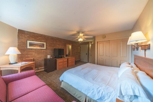 Mountain Chalet Snowmass - image 38
