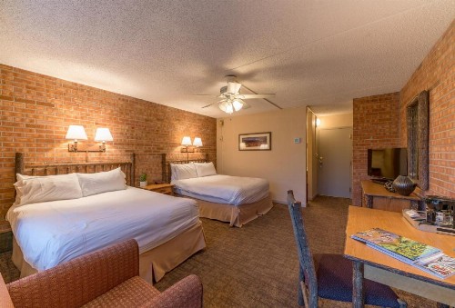 Mountain Chalet Snowmass - image 39