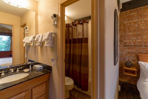 Mountain Chalet Snowmass - image 4