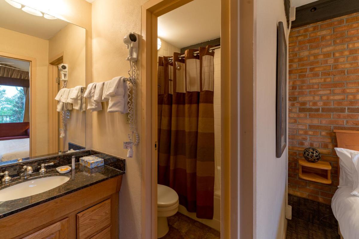 Mountain Chalet Snowmass - image 4