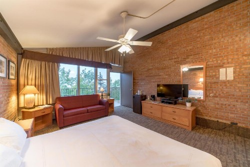 Mountain Chalet Snowmass - image 41
