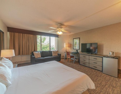 Mountain Chalet Snowmass - image 43