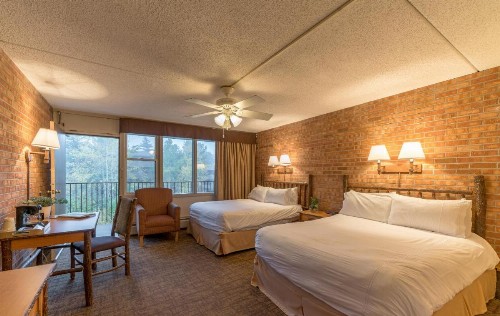 Mountain Chalet Snowmass - image 45