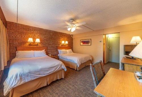Mountain Chalet Snowmass - image 47