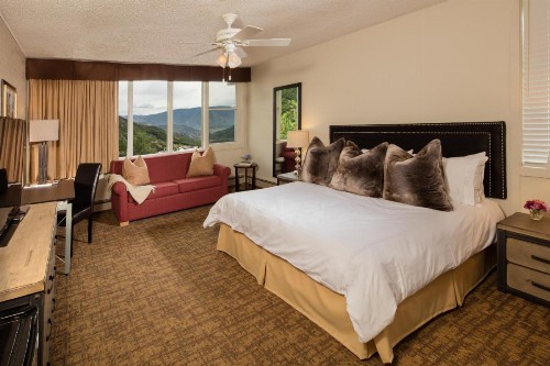 Mountain Chalet Snowmass - image 49