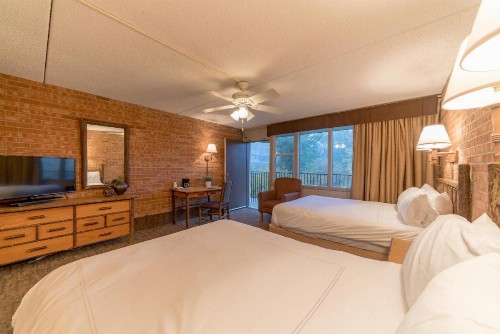 Mountain Chalet Snowmass - image 50