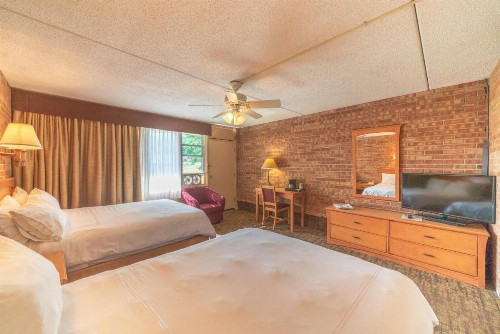 Mountain Chalet Snowmass - image 6
