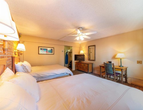 Mountain Chalet Snowmass - image 7