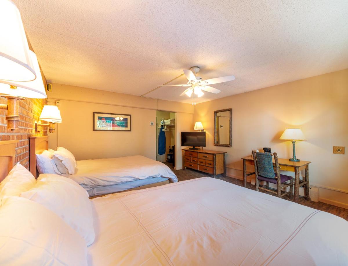 Mountain Chalet Snowmass - image 7