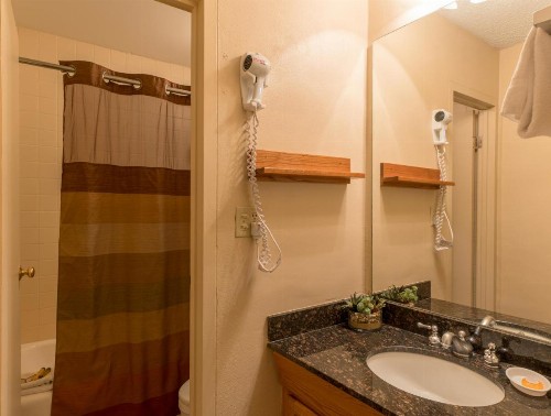 Mountain Chalet Snowmass - image 9