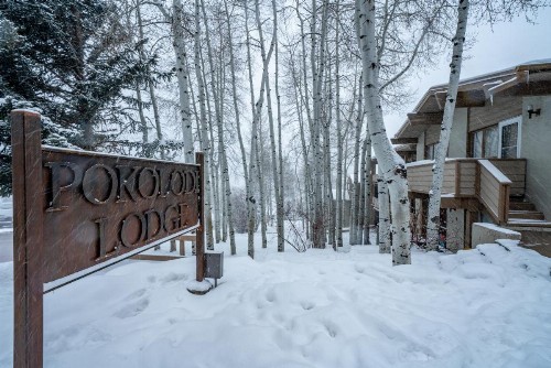 Pokolodi Lodge - image 6