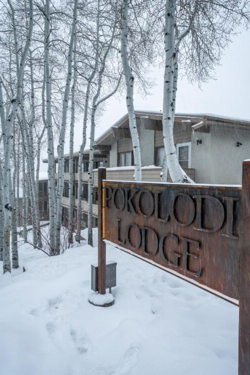 Pokolodi Lodge - image 7