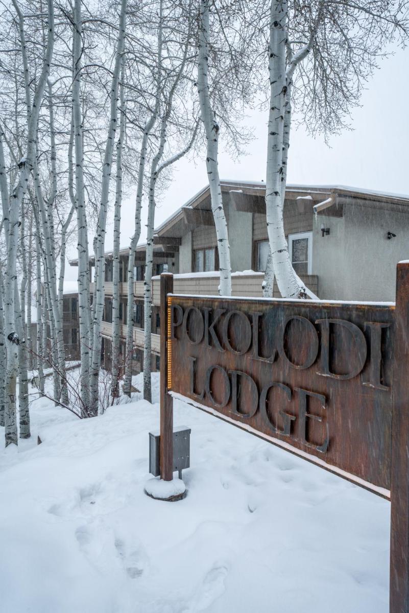 Pokolodi Lodge - image 7