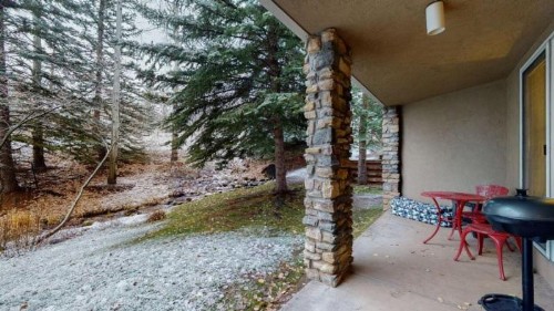 Woodrun 1 Bedroom Ski-In Ski-Out Condo - image 18