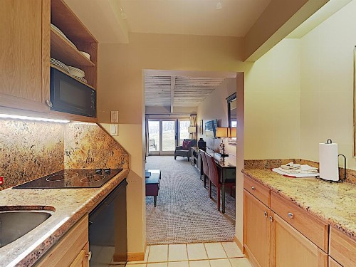 Timberline Condominium Studio Unit 117 - image 10