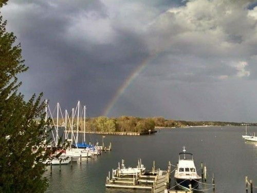 Blue Heron Inn - A Bed and Breakfast LLC - image 3
