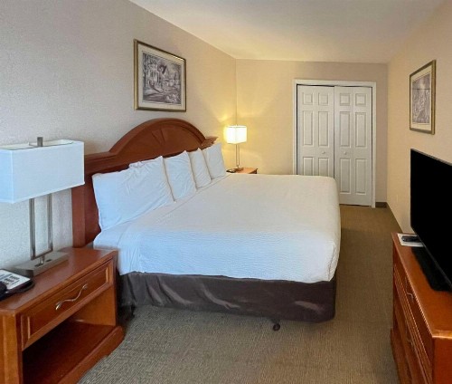 Smart Suites Ascend Hotel Collection - image 20