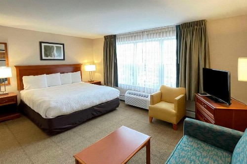 Smart Suites Ascend Hotel Collection - image 25