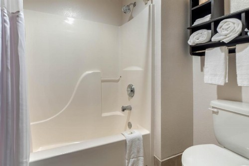 Quality Inn & Suites - image 10