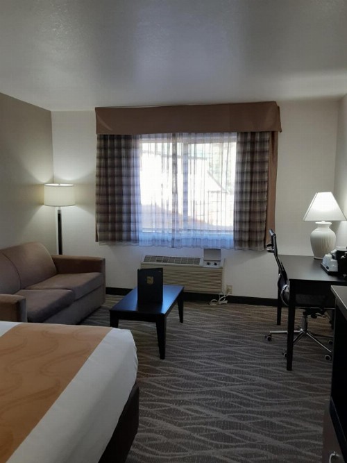 Quality Inn & Suites - image 12
