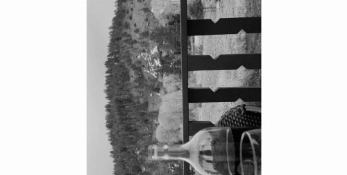 Quality Inn & Suites - image 24