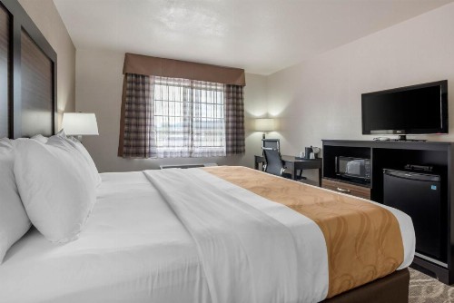 Quality Inn & Suites - image 27