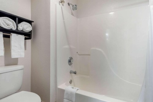 Quality Inn & Suites - image 30
