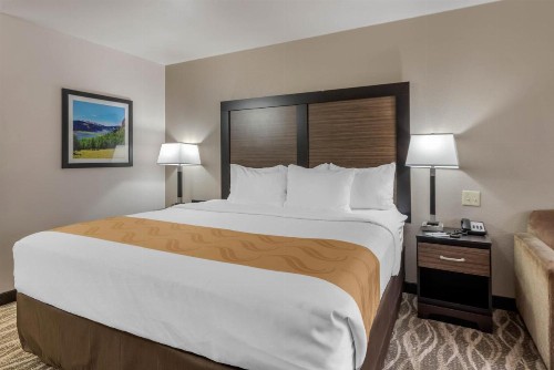 Quality Inn & Suites - image 36
