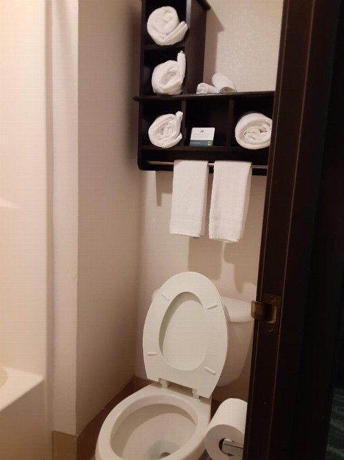 Quality Inn & Suites - image 43