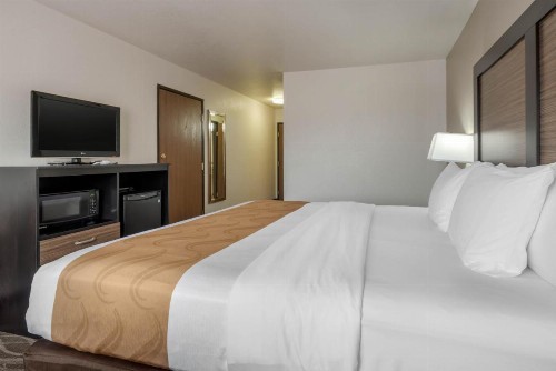Quality Inn & Suites - image 5