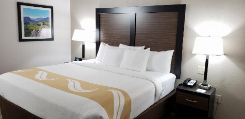 Quality Inn & Suites - image 50