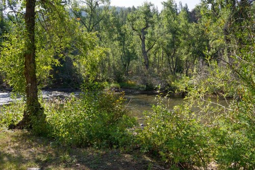 Four Seasons Lodge - image 3