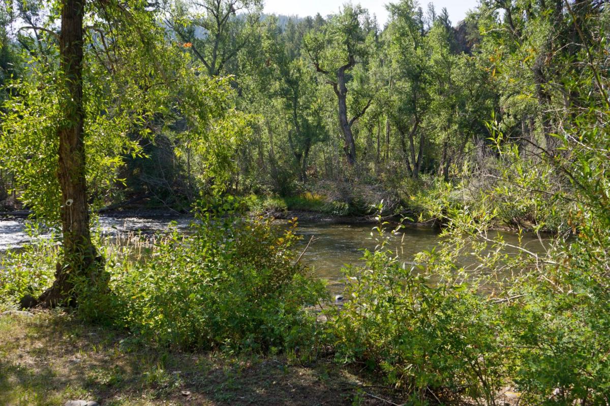 Four Seasons Lodge - image 3