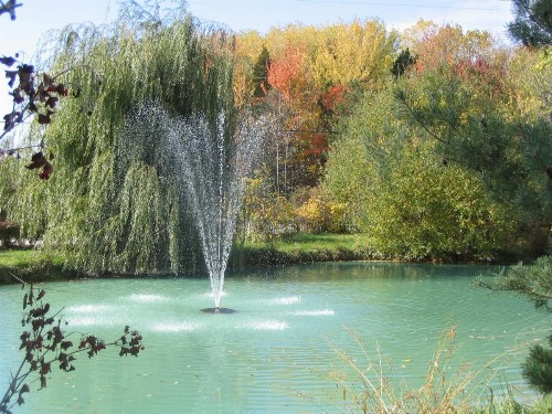 Martha's Vineyard B & B - image 30