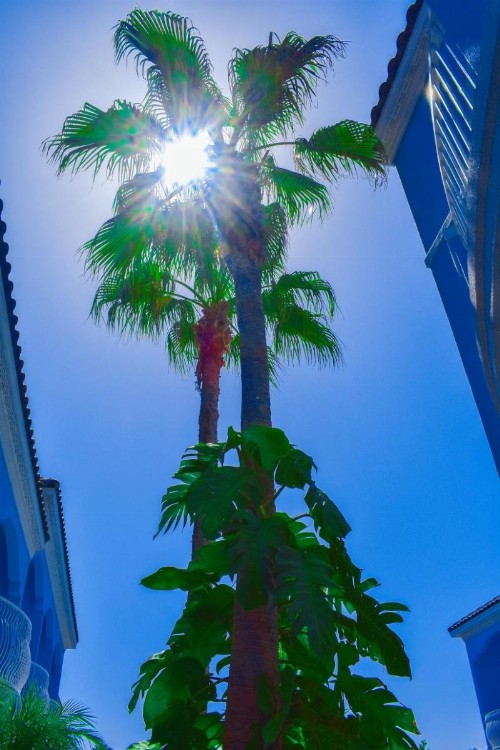 Casa Bella Hotel and Suites - image 8
