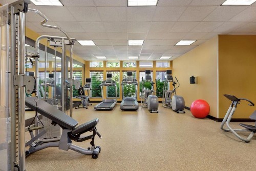 Hilton Garden Inn South Padre Island - image 22