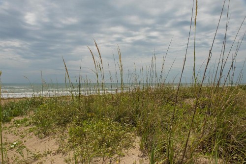 South Padre Island Beach Rentals