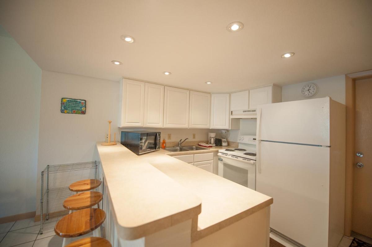 South Padre Island Beach Rentals - image 3