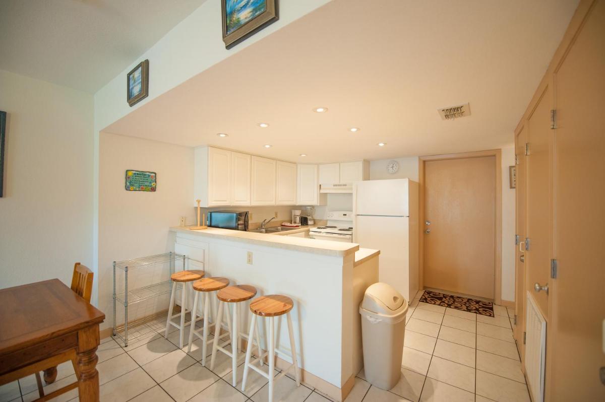 South Padre Island Beach Rentals - image 4