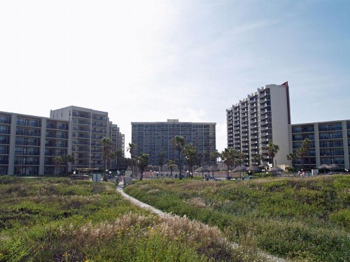 Saida - image 3
