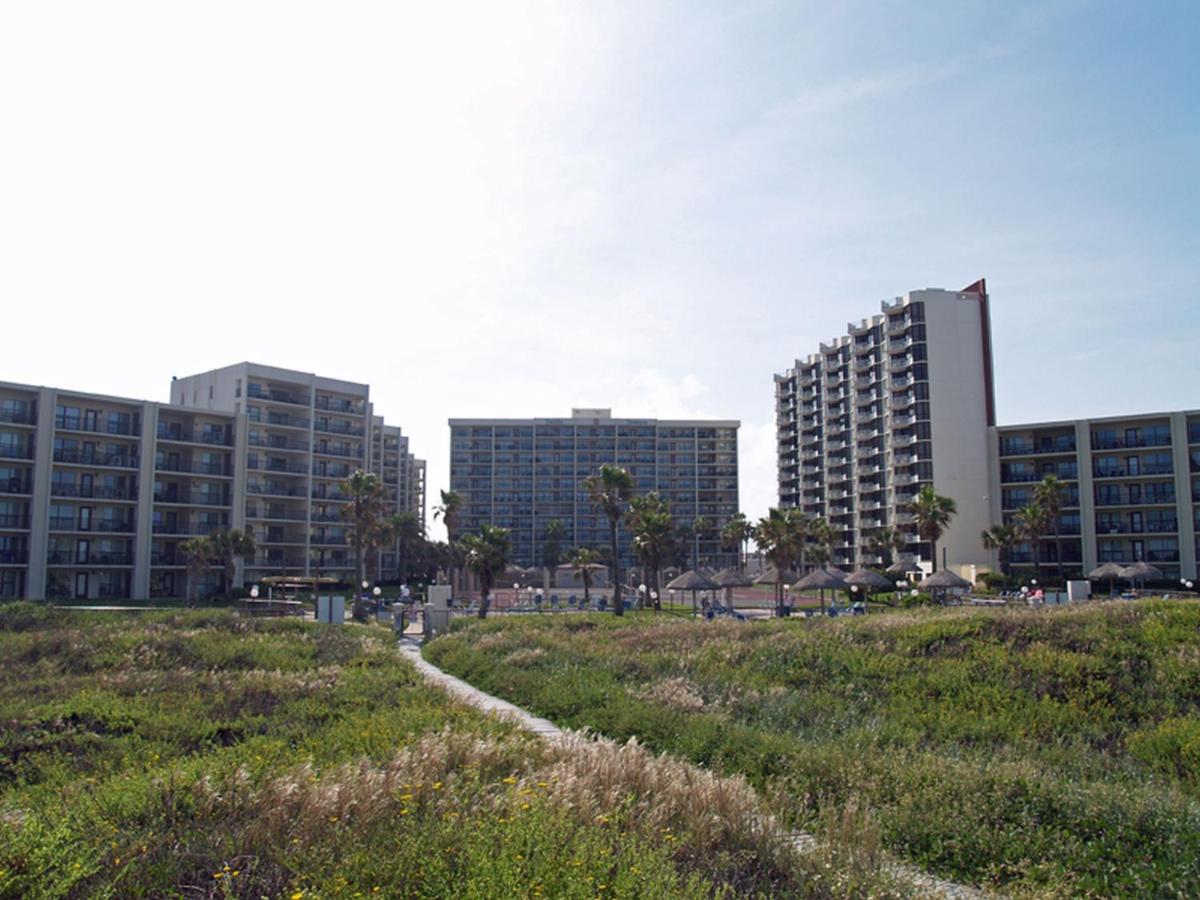 Saida - image 3