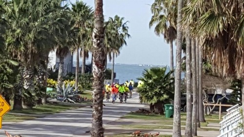 South Padre Inn - image 7