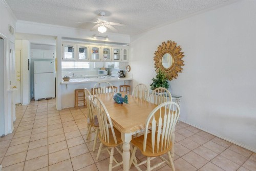 Tropical Breeze - image 8