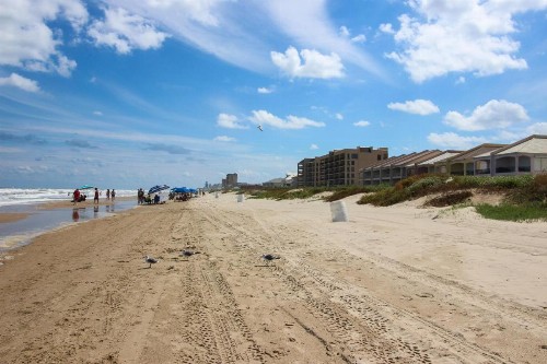 Gulfview II - image 6