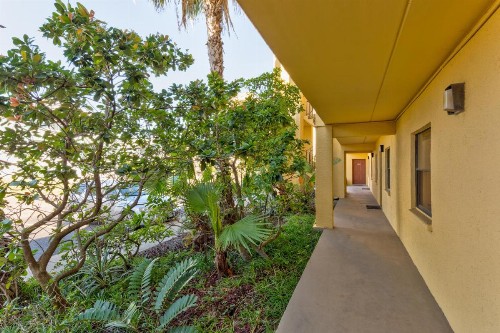 Ventura #202 - image 6