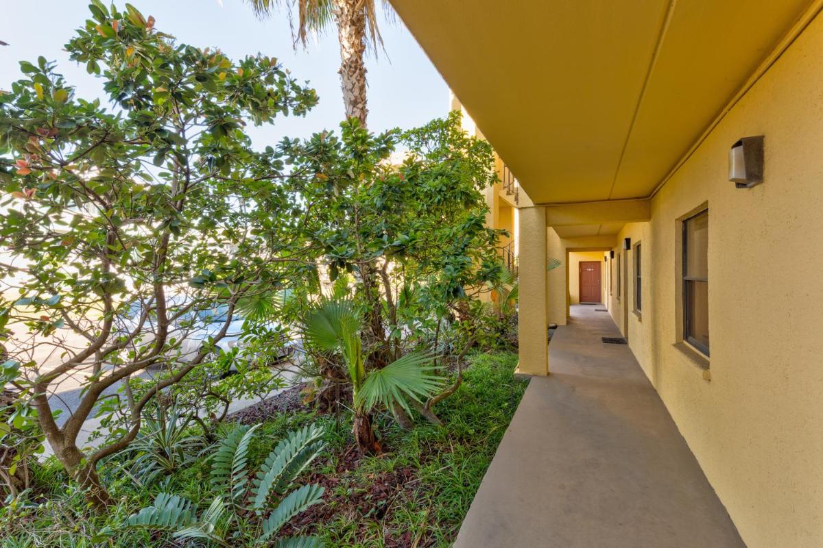 Ventura #202 - image 6