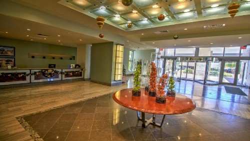 My Sapphire South Padre - image 8