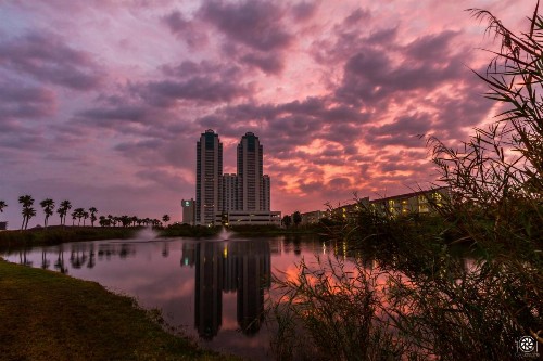 My Sapphire South Padre - image 6