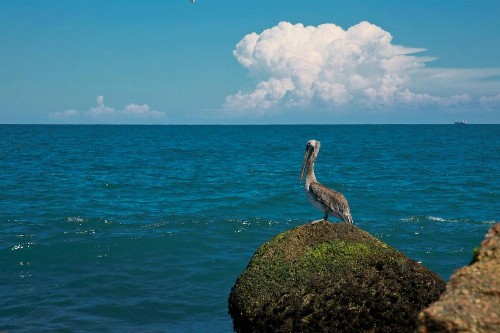 Island Serenity - image 8